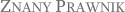 syndyk 1